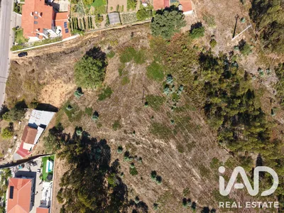Fotografia 3 de Terreno rústico de 12 800 m² em Coimbra