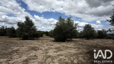 Land  in Carneiria