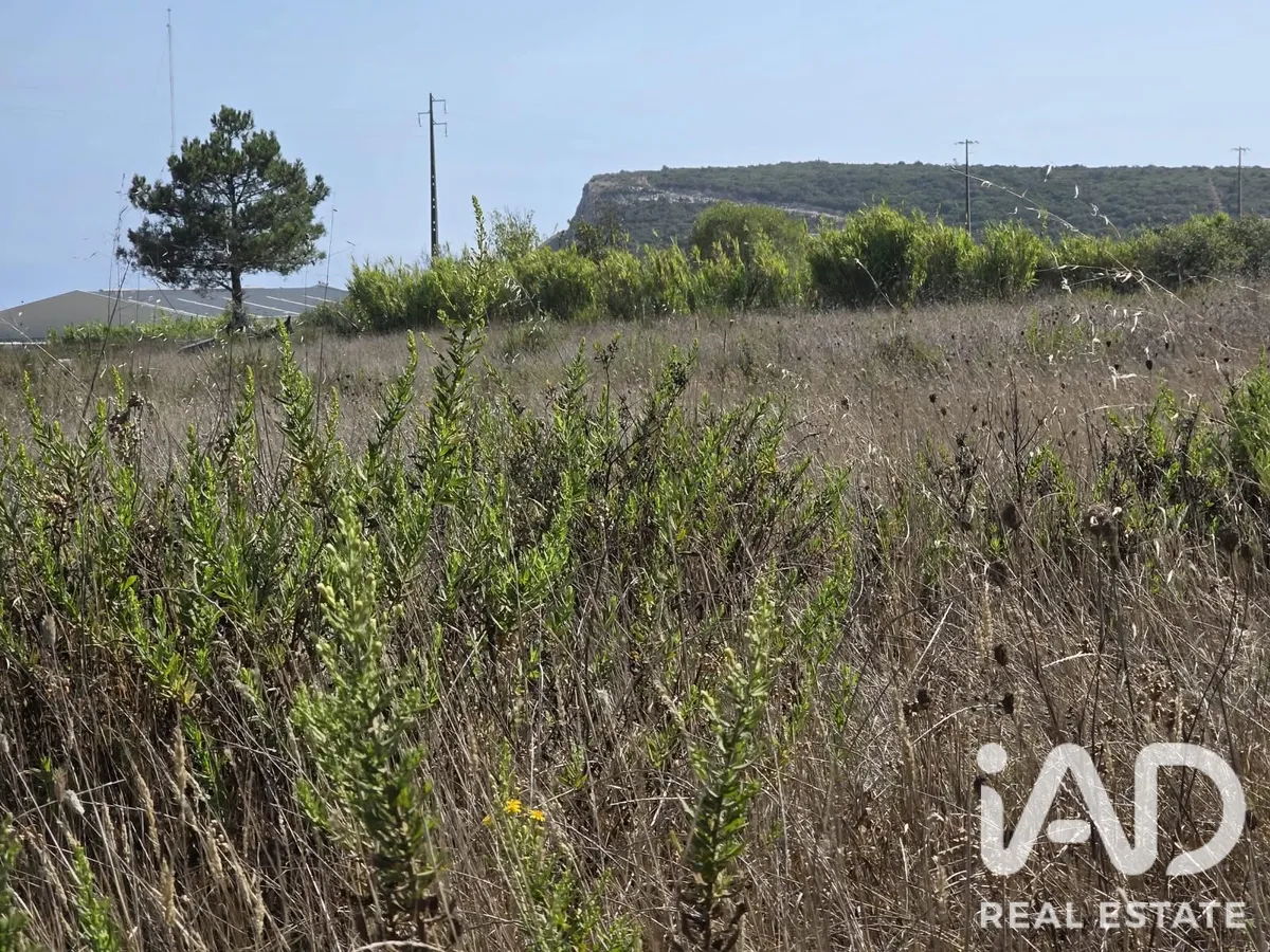 Terreno urbano de 1544 m² em Sesimbra