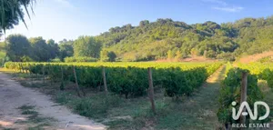 Farm  in Pernes