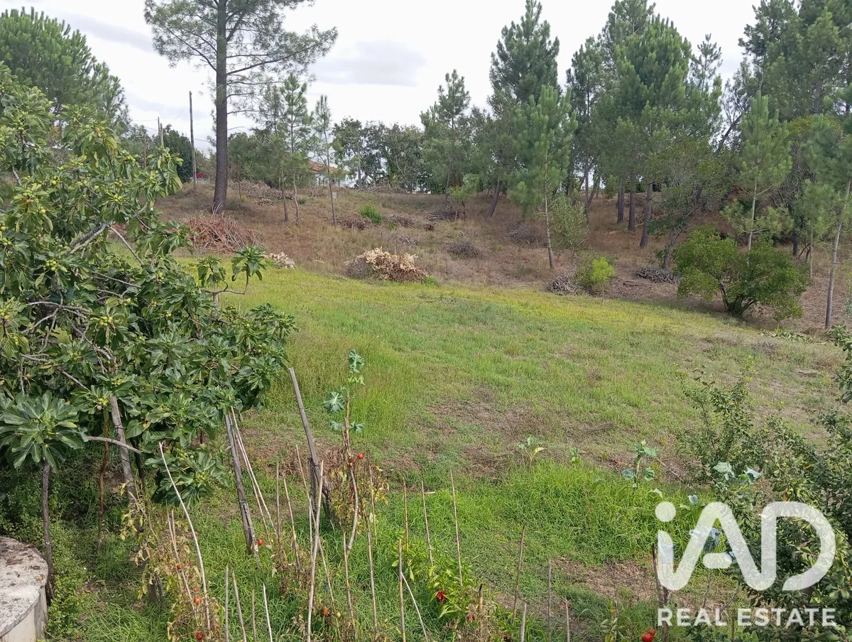 Terreno urbano de 6000 m² em Batalha