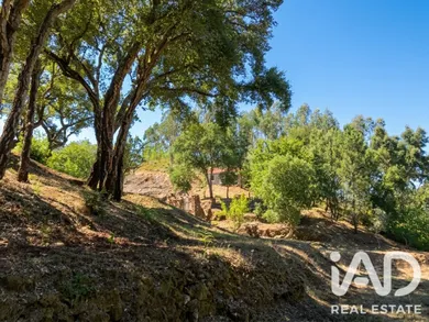 Quinta em Castelo