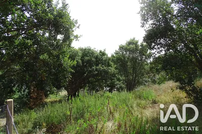 Fotografia 5 de Terreno misto de 2541 m² em Vidais