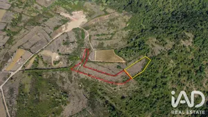 Terrain agricole   à Alvarinhos