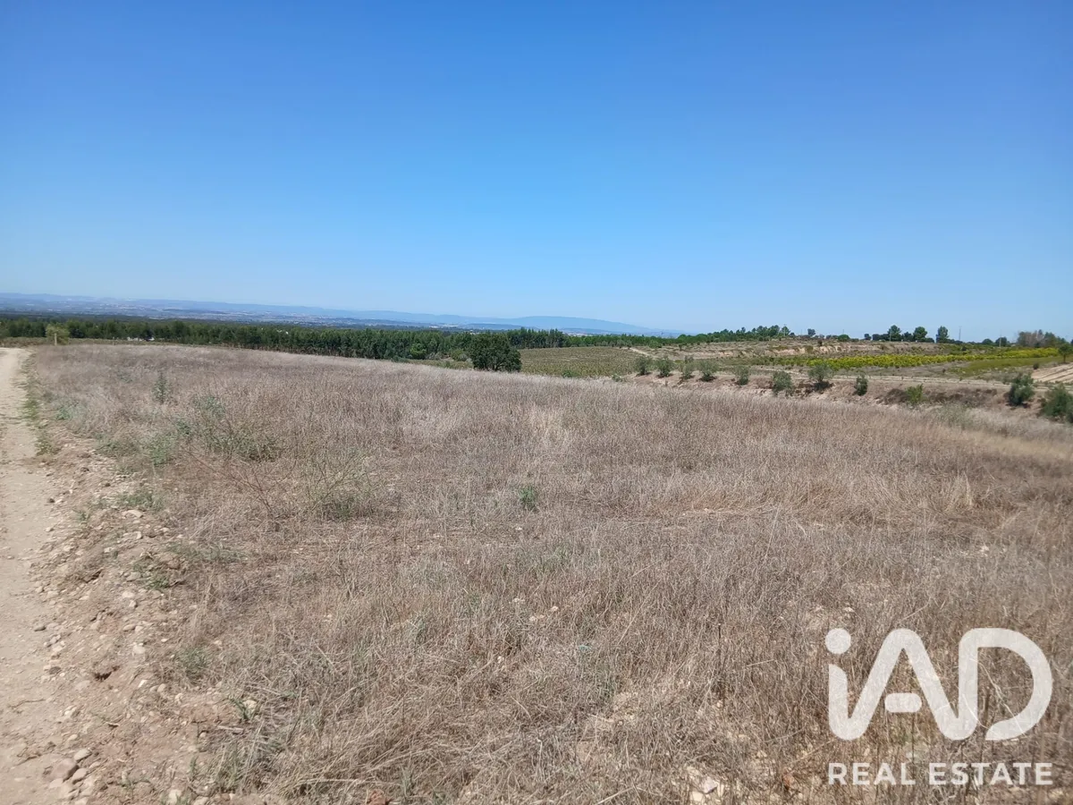Terreno rústico de 1500 m² em Alpiarça