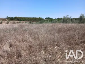 Terreno rústico  em Alpiarça