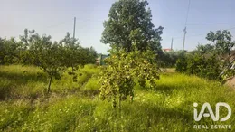 Farm land in coimbra