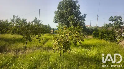 Fotografia 3 de Terreno rústico de 840 m² em coimbra