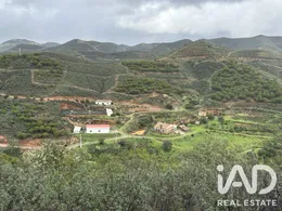 Quinta agrícola em Cachopo