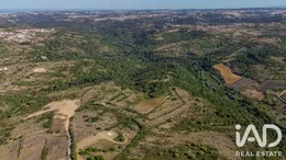 Terrain agricole à Alvarinhos