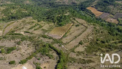 Fotografia 3 de Terreno rústico de 4851 m² em Alvarinhos