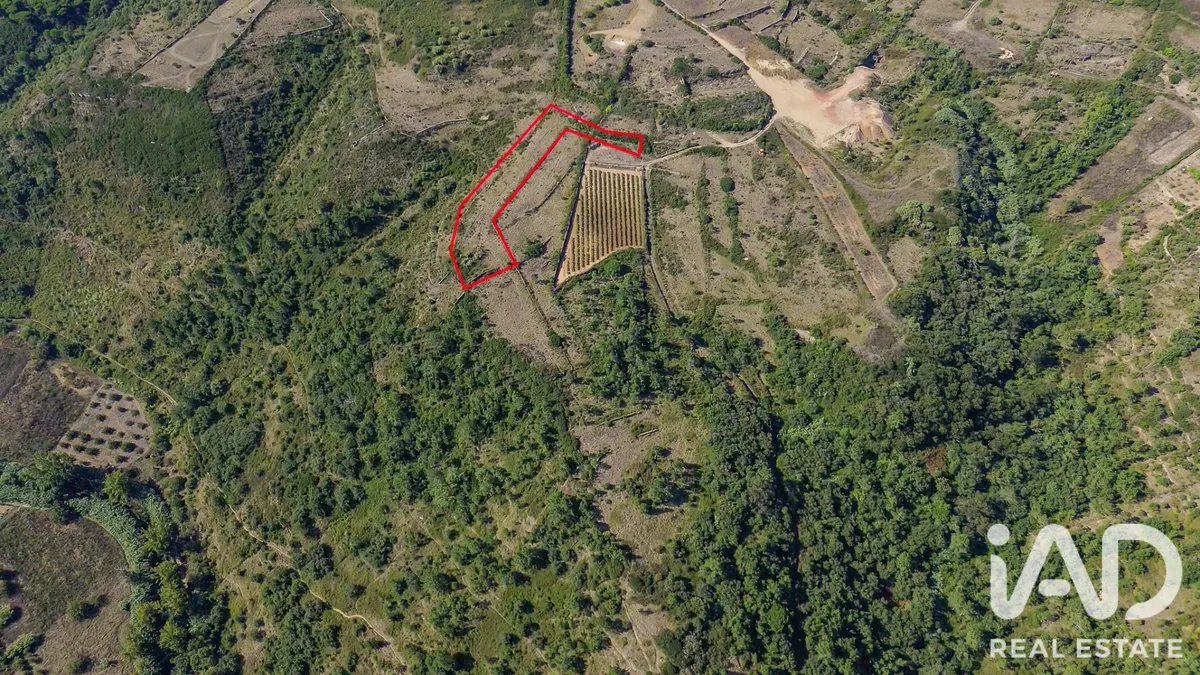 Terreno rústico de 4851 m² em Alvarinhos