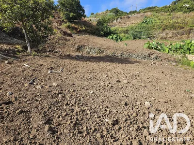 Fotografia 3 de Terreno rústico de 1336 m² em Porto da Cruz