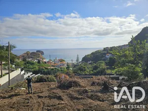 Terreno rústico em Porto da Cruz