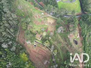 Rural farm  in Funchal