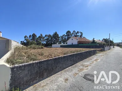Terrain à Alvarães