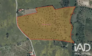 Land  in Carneiria