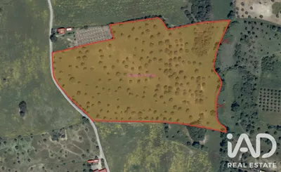 Fotografia 1 de Terreno de 48 440 m² em Carneiria