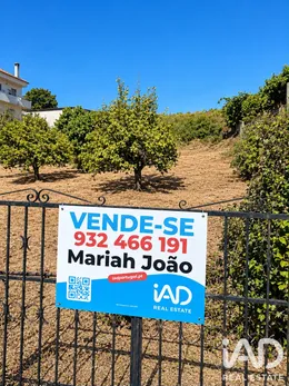 Terreno urbano  em Castelo Branco 