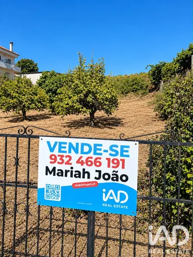 Terreno urbano  em Castelo Branco 