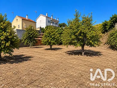 Terreno urbano  em Castelo Branco 