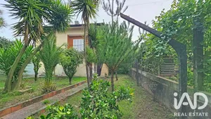 Moradia em Vila de Cucujães