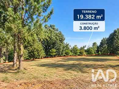 Terrain agricole à Vila Nova de Gaia