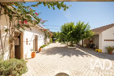 Herdade em Ferreira do Zezere