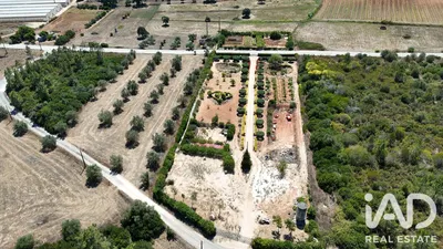 Fotografia 3 de Terreno rústico de 8560 m² em Rio Maior