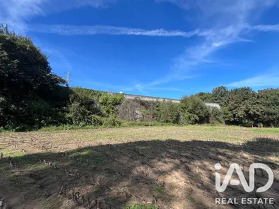 Fotografia 3 de Terreno rústico de 2400 m² em Antas