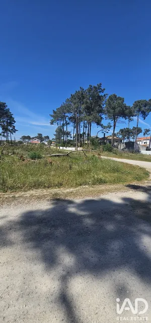 Terrain  à Charneca de Caparica