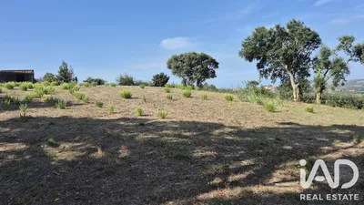 Fotografia 8 de Terreno urbano de 4852 m² em Cela