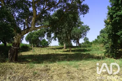 Building plot in Óbidos