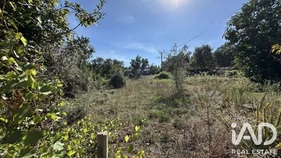 Fotografia 5 de Terreno de 1600 m² em Castelo