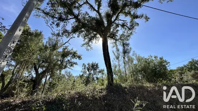 Terreno rústico  em Graça