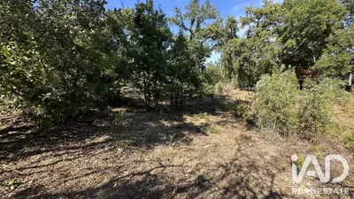Fotografia 6 de Terreno de 1600 m² em Castelo