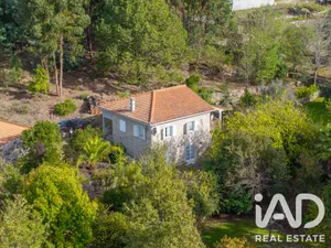 Quinta em Mangualde
