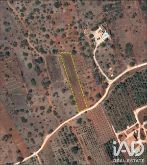 Farm land  in Silves
