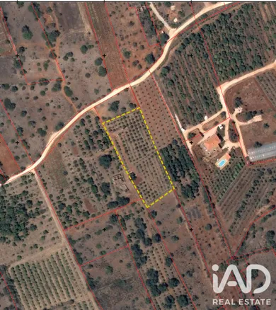 Farm land in Silves