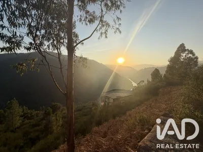 Quinta de 1315 m² em Marco de Canaveses
