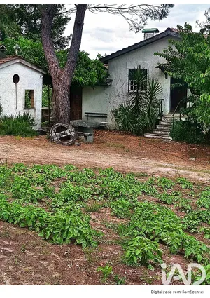 Land  in Satao