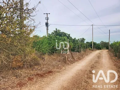 Farm land in Silves
