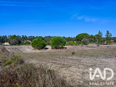 Land in Coruche
