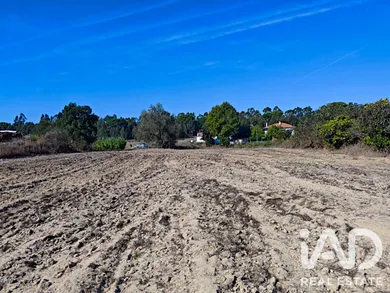 Land in Coruche
