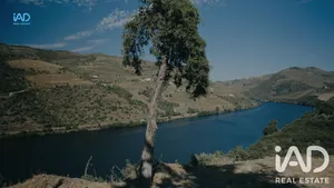Terrain  à Adorigo - Tabuaço 