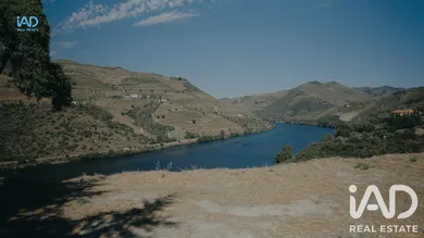 Terrain à Adorigo - Tabuaço
