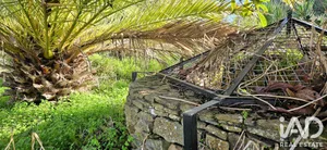 Farm land  in Barão São Miguel 