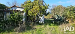 Farm land in Barão São Miguel