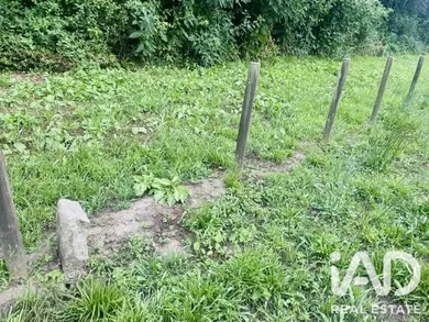 Farm land  in Viana do Castelo