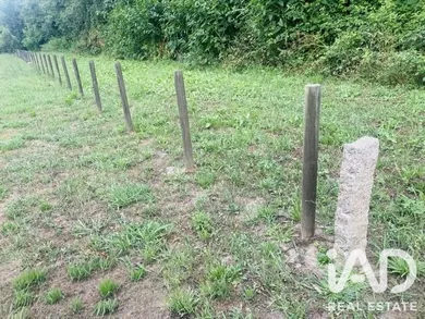 Farm land  in Viana do Castelo